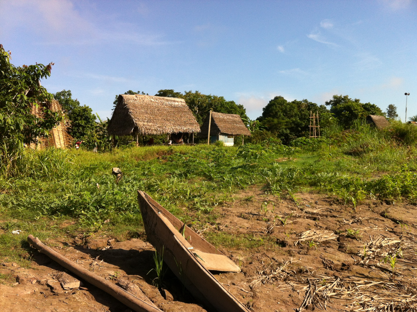 Panaillo, Yarinacocha